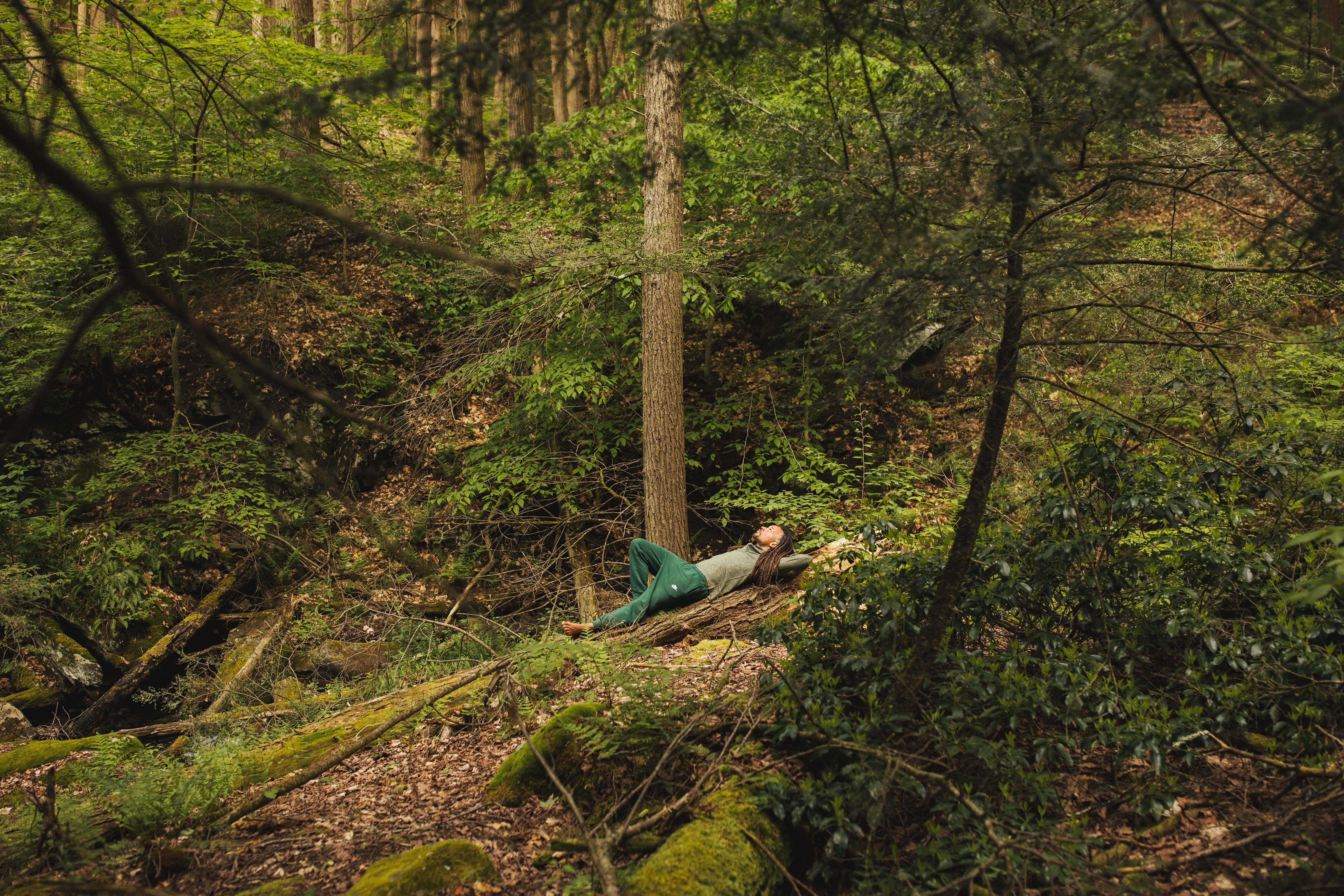 Outside forest photo