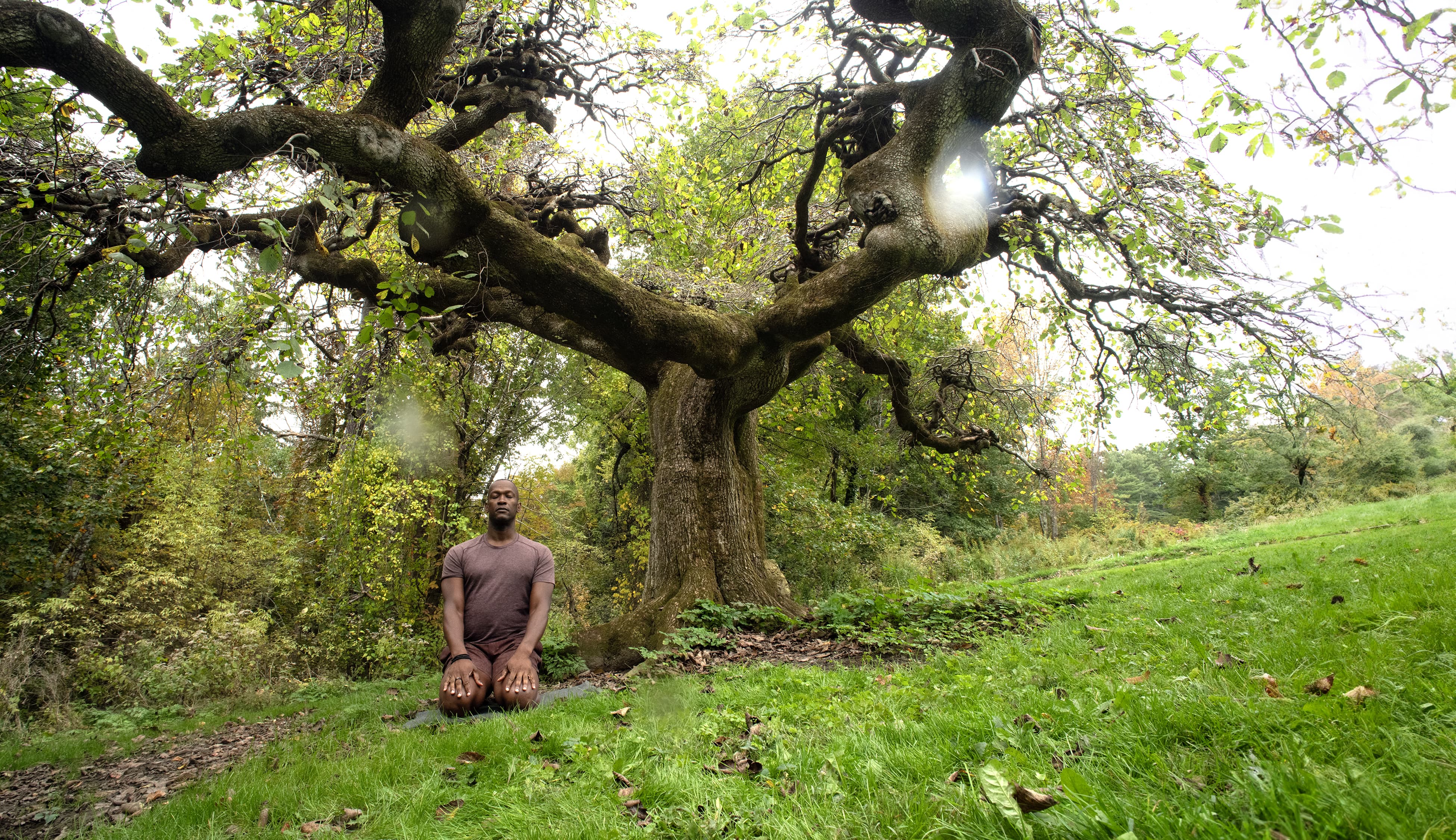 Outside grandmother tree