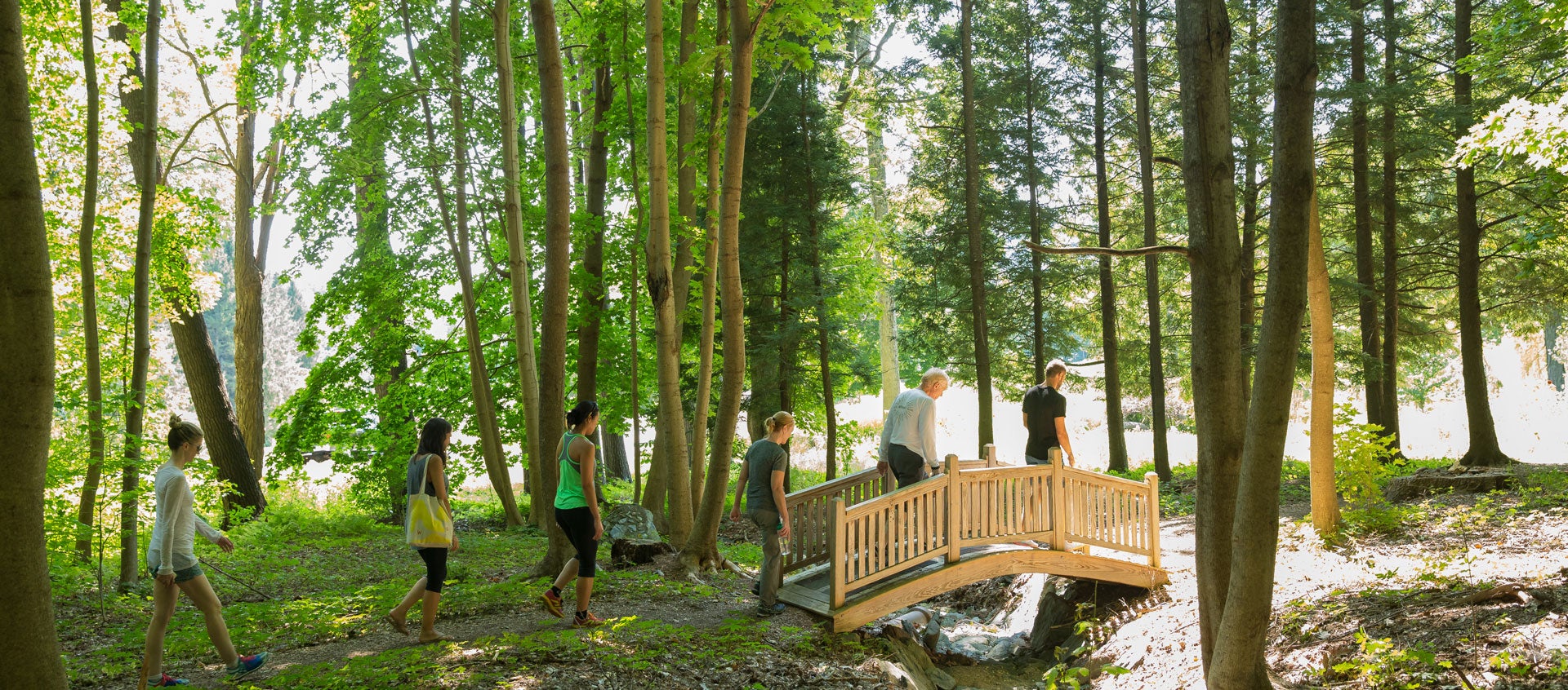 people hiking across a bridge