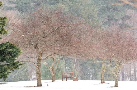 Kripalu-Winter-2.15_silence_hero.jpg