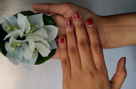 Two hands holding a flower