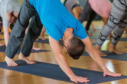 yoga students in downward dog