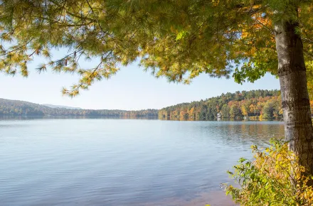 lake_reference_summer.png