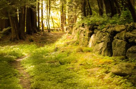 ksa advanced studies banner