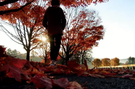 A guest walks along campus at sunset on a fall day