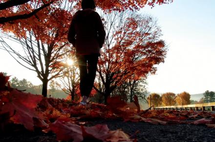 A guest walks along campus at sunset on a fall day