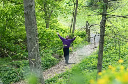 spring woods