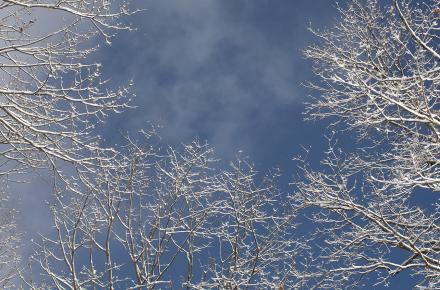 winter 2025 sky