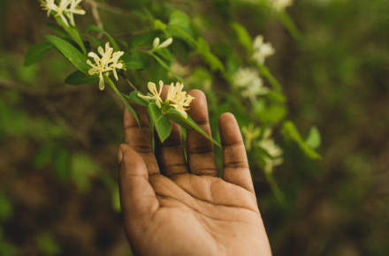 Hand with flower