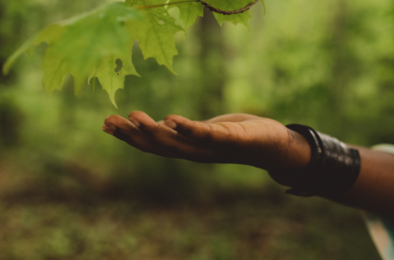 hand outstretched in a forest
