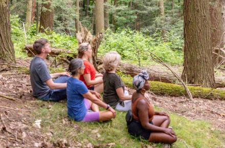 forest meditation