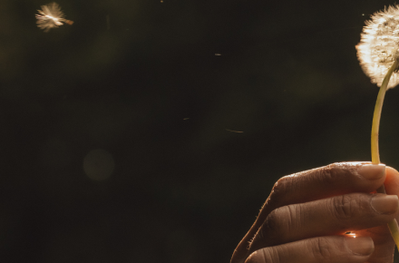 hand holding a flower