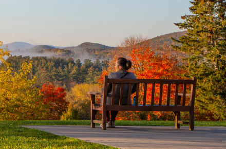 Retreat and Renewal Day - header image v2