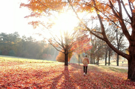 a woman walking outside in the fall with sunlight