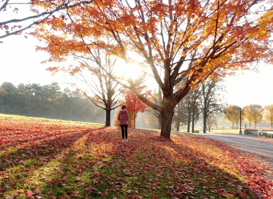 Outside fall with light