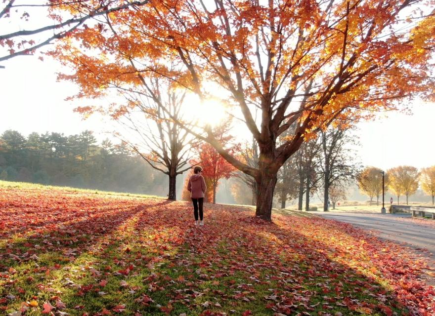 Outside fall with light