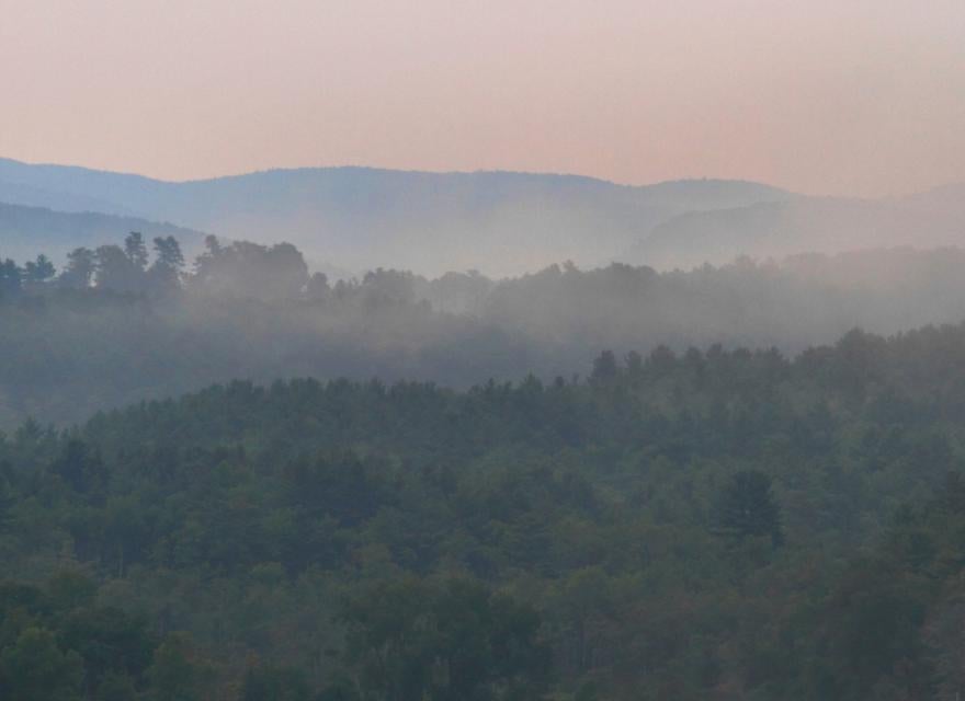 Rewilding Blog Header