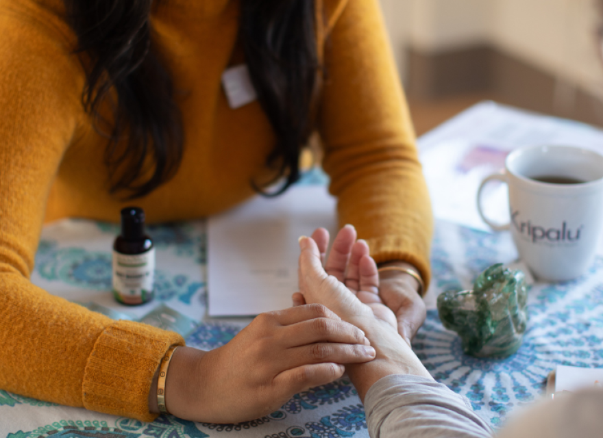 Ayurvedic consultation