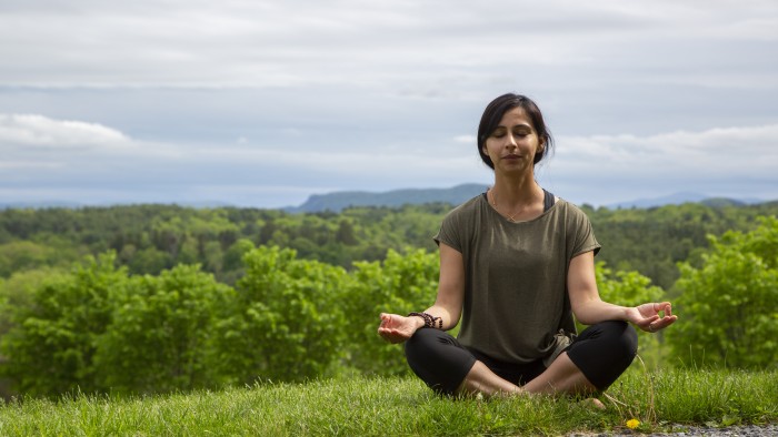 650 Hour Ayurvedic Health Counselor Certification