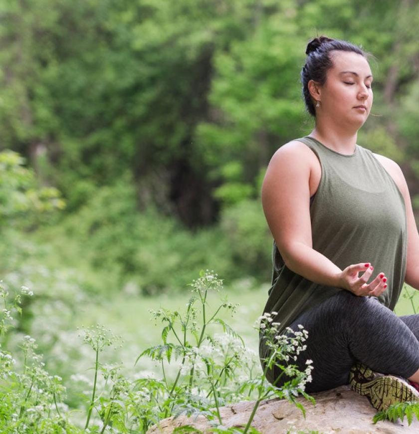 mindfulnessmeditationtraining_reference.jpg