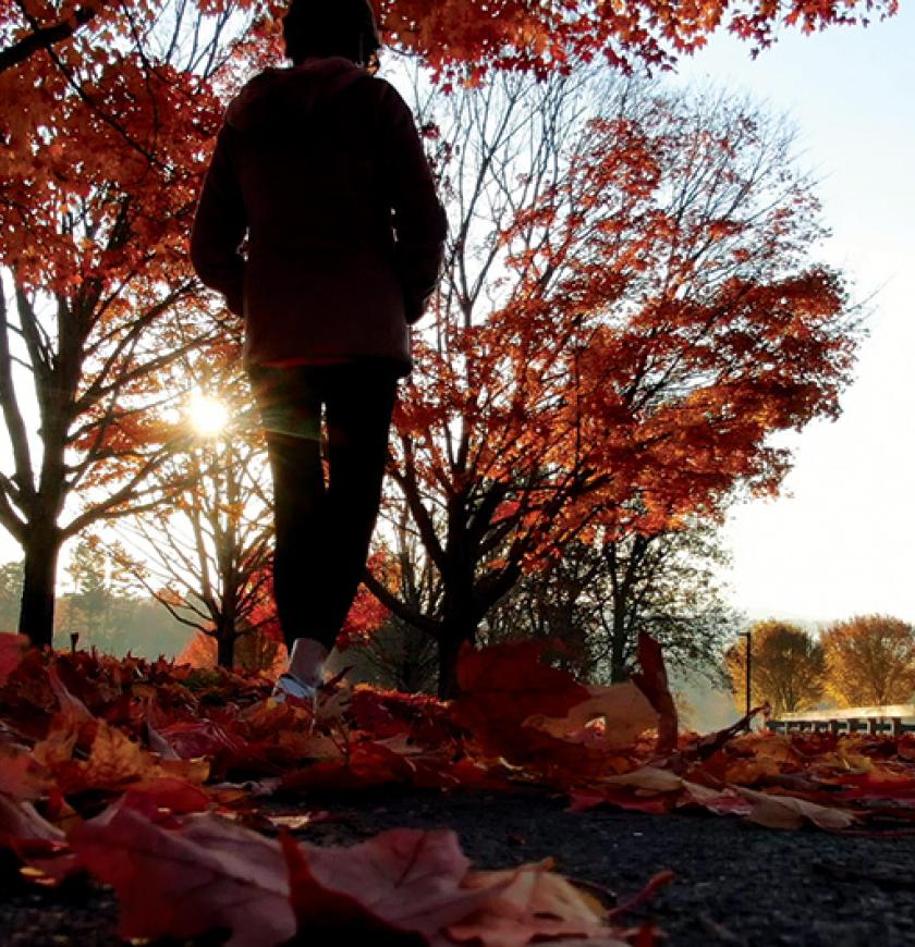 A guest walks along campus at sunset on a fall day