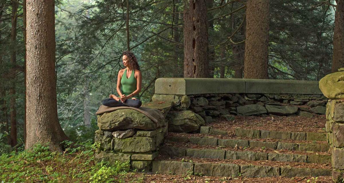 Therapeutic Yoga for Resilience: Cultivating Safety and Presence