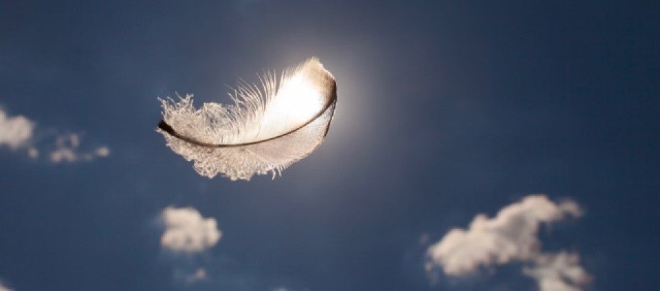 Guidance Falling From The Sky Kripalu - 