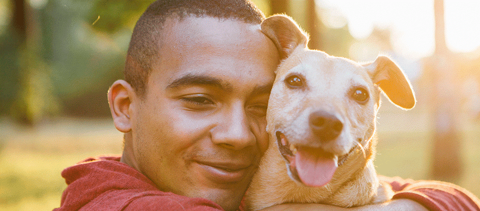 Animal Lessons: Discovering Your Spiritual Connection with Animals | Kripalu Animal Lessons: Discovering Your Spiritual Connection with Animals | Kripalu