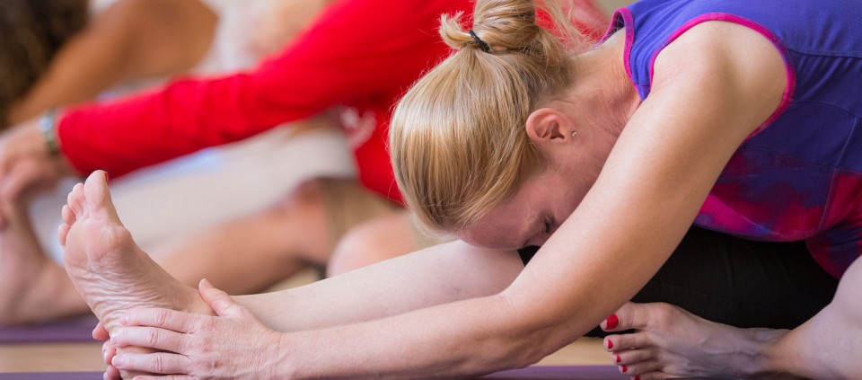 The Inward Journey of Dynamic Gentle Yoga