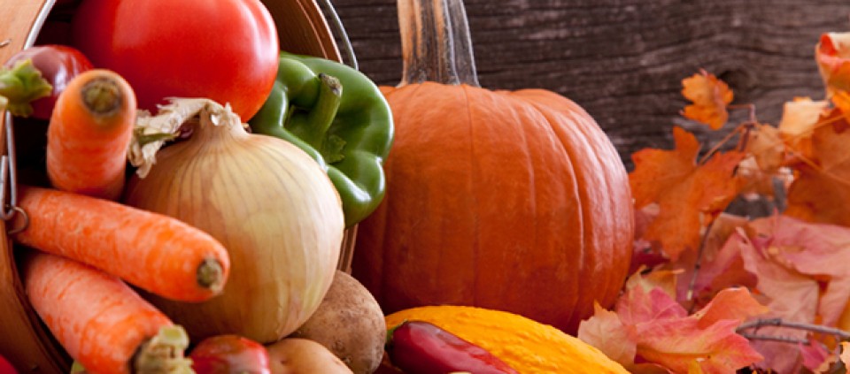 Tastes of Thanksgiving | Kripalu