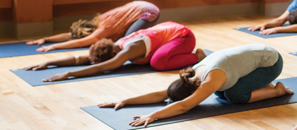 Yoga for the Absolute Beginner