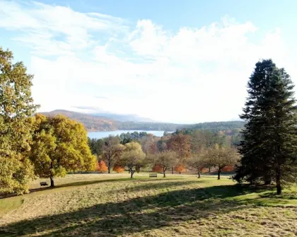 Grounds
