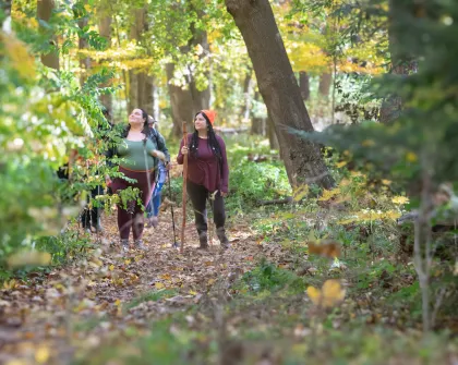 Hiking in fall