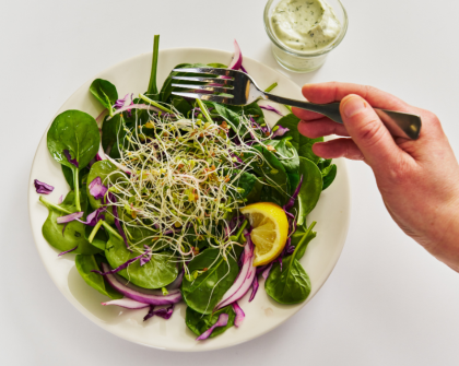 salad plate
