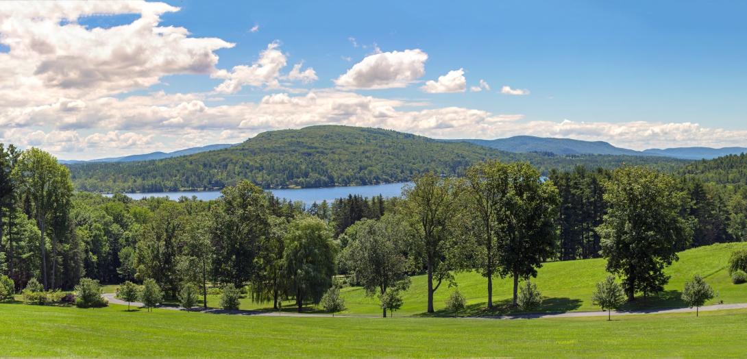 view