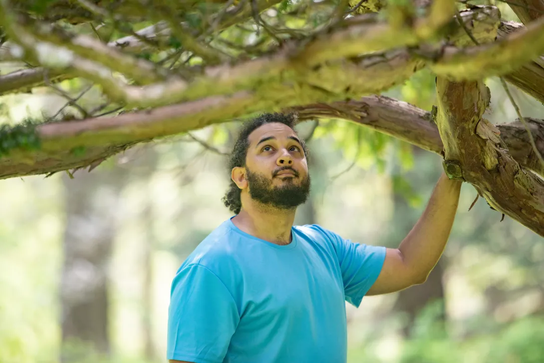 Outside with a tree