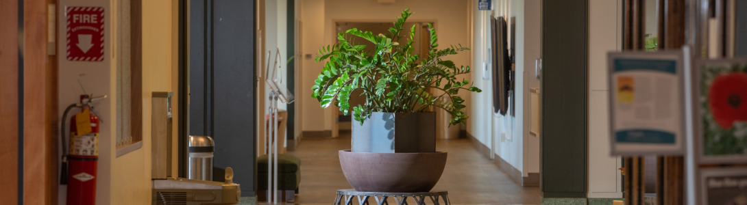 Building map at Kripalu