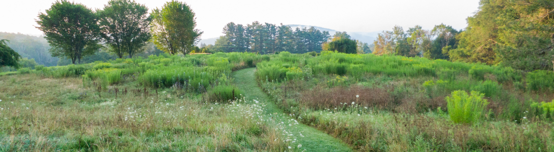 field outside