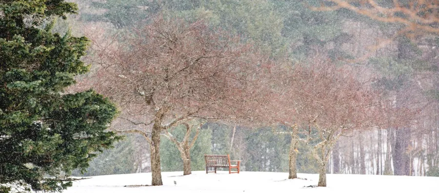 Kripalu-Winter-2.15_silence_hero.jpg