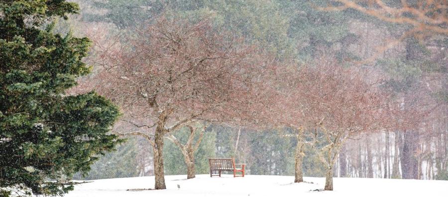 Kripalu-Winter-2.15_silence_hero.jpg