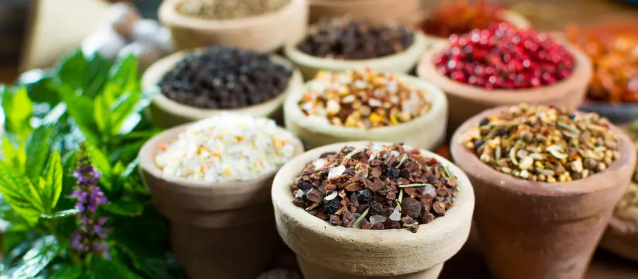 Living%20Ayurveda_Hero_1900x831_.jpg