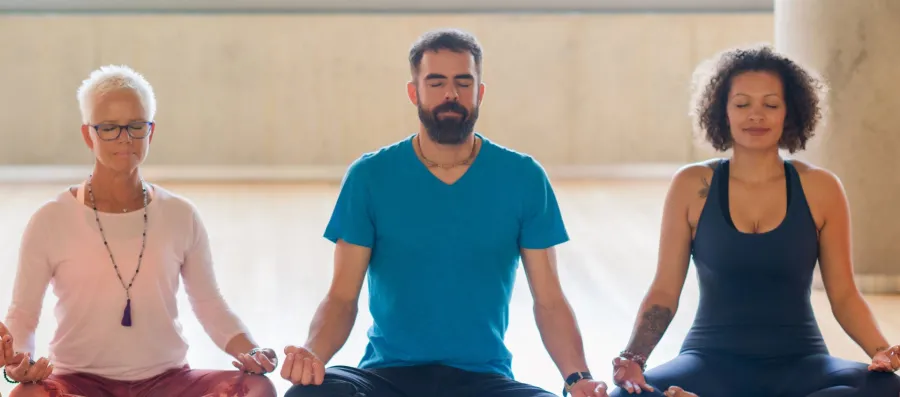 ayurveda_pace1_hero.jpg