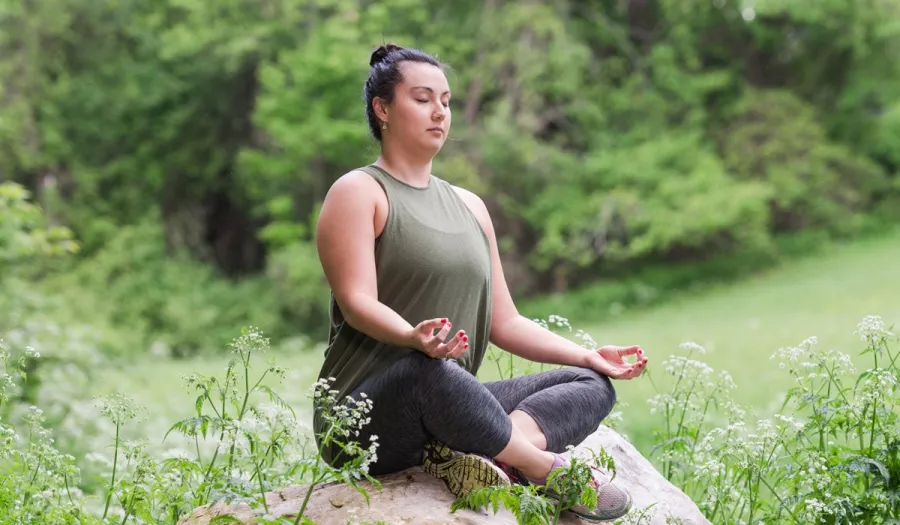 mindfulnessmeditationtraining_reference.jpg