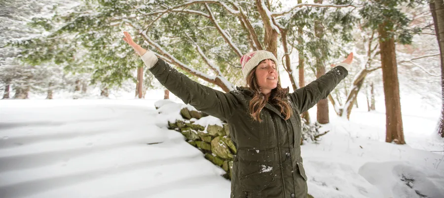 snow_arms_hero.png