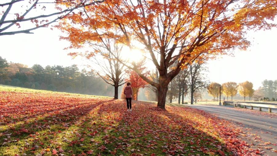 Outside fall with light