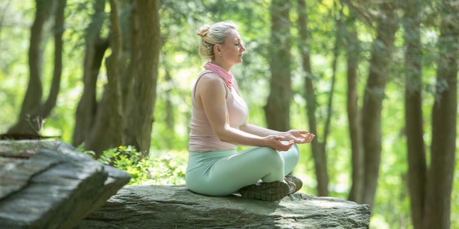 spring 2025 meditation forest