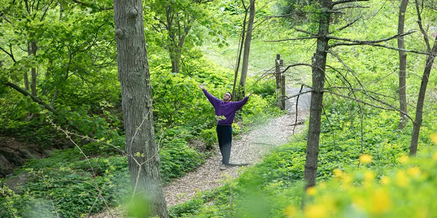 spring woods