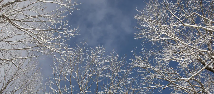 winter 2025 sky