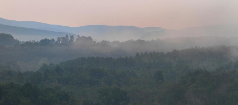 Rewilding Blog Header