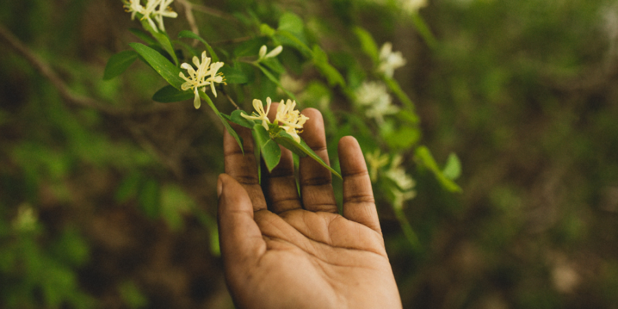 Hand with flower